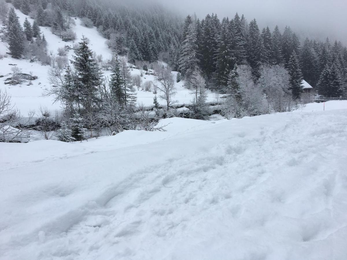 Haus Steiner Lägenhet Göschenen Exteriör bild